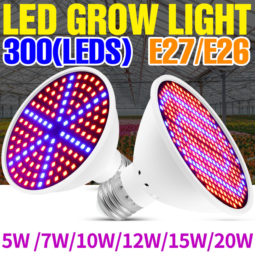 Echeveria Succulent - Lámpara LED de espectro completo de