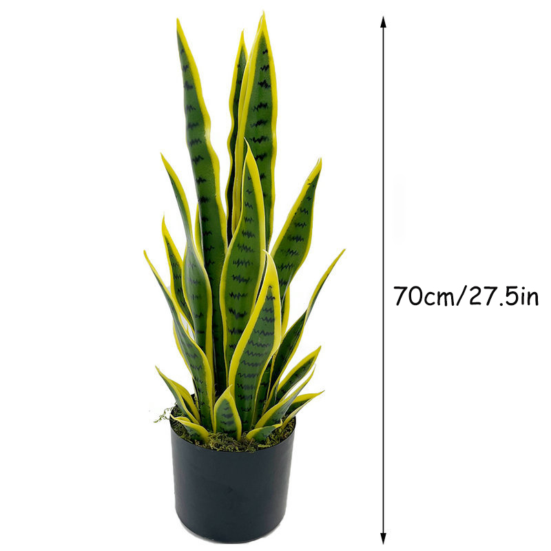 Planta de Sansevieria Artifici - Ficus Lyrata Tree reseña y precio